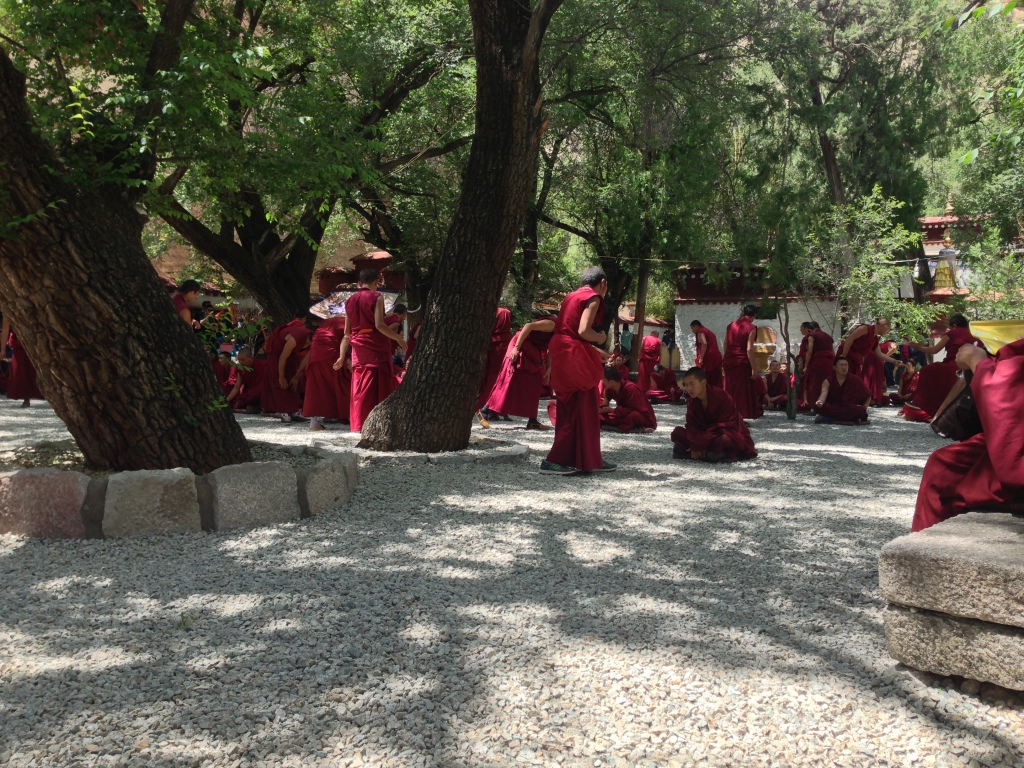 Debates at the Sera Monastery