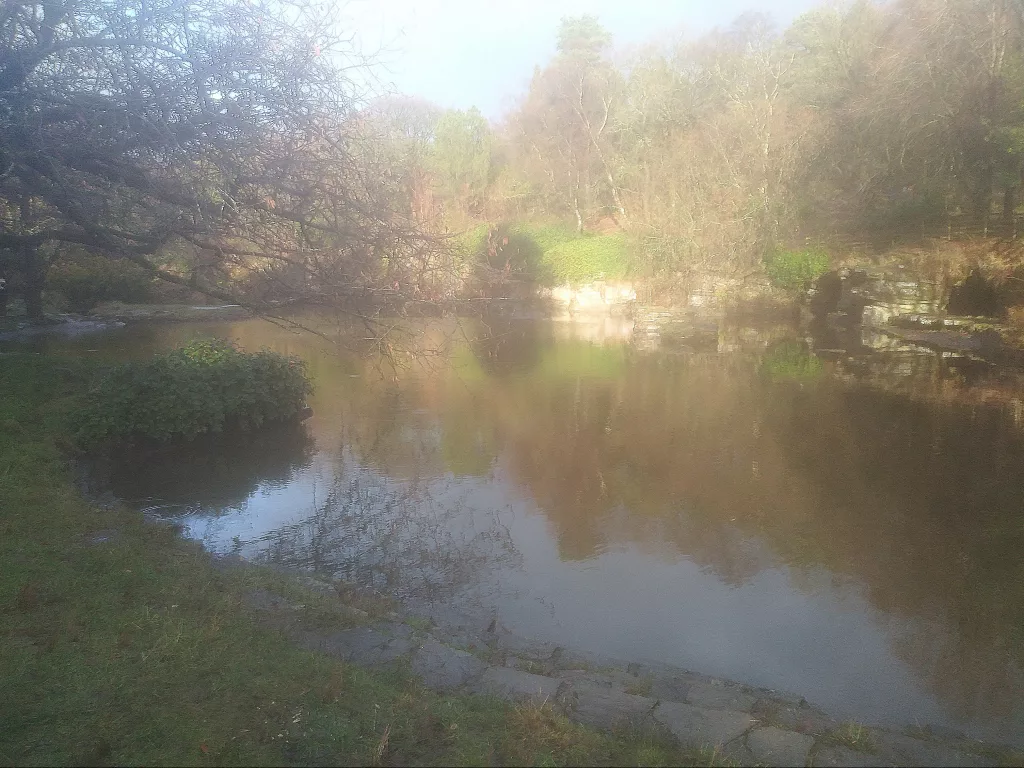 Japanese Pond