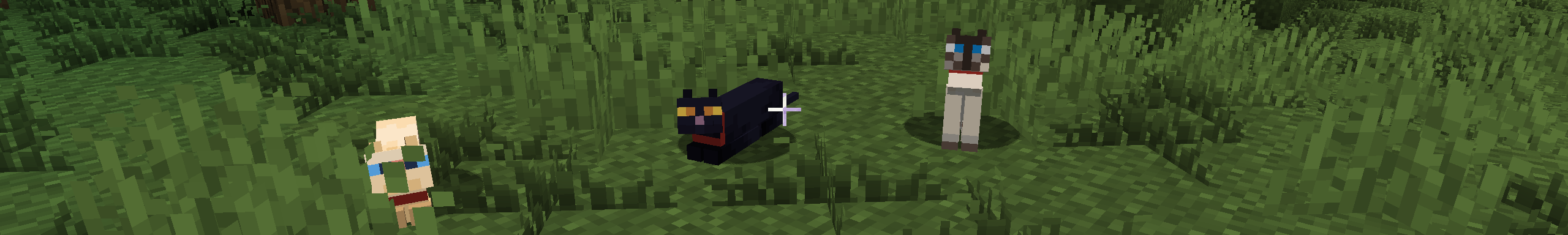 Minecraft Mods About Cats